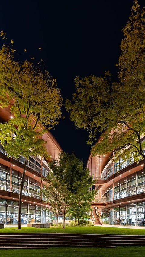 7 Colleges with the Best Campus Food and Dining Options