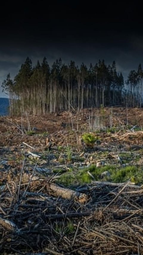 10 Alarming Environmental Issues that should be fixed immediately