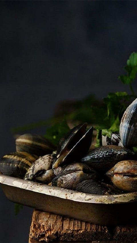 Top 9 Countries that consume most seafood