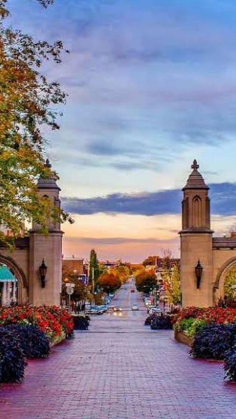 Leading U.S. Colleges for Athletic Training Programs