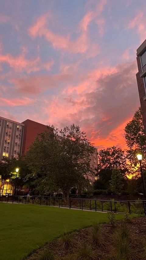 Enriching Education in Indore: 10 Colleges with Aesthetic Campuses and Career Courses