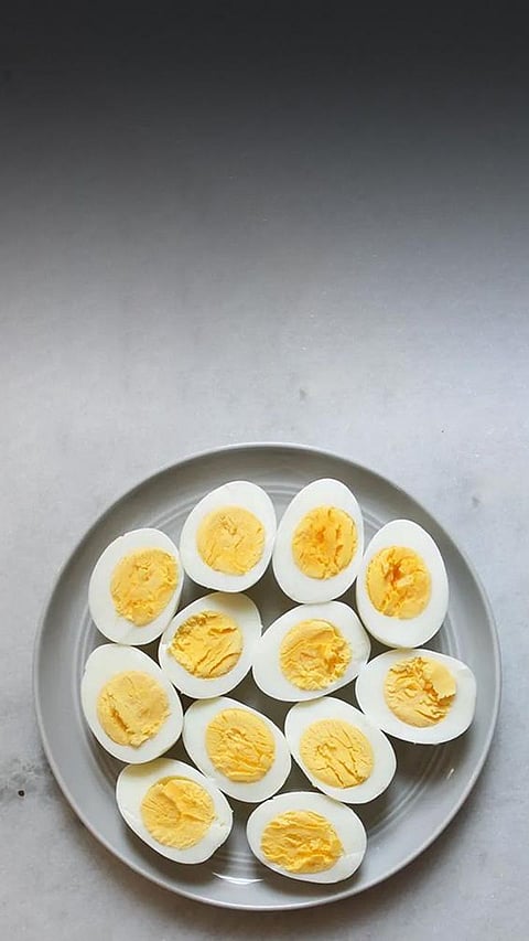 8 Healthy Snacks with Lots of Protein for Energy Without Making You Too Full