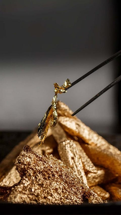 9 Most Expensive Dishes Made of Gold