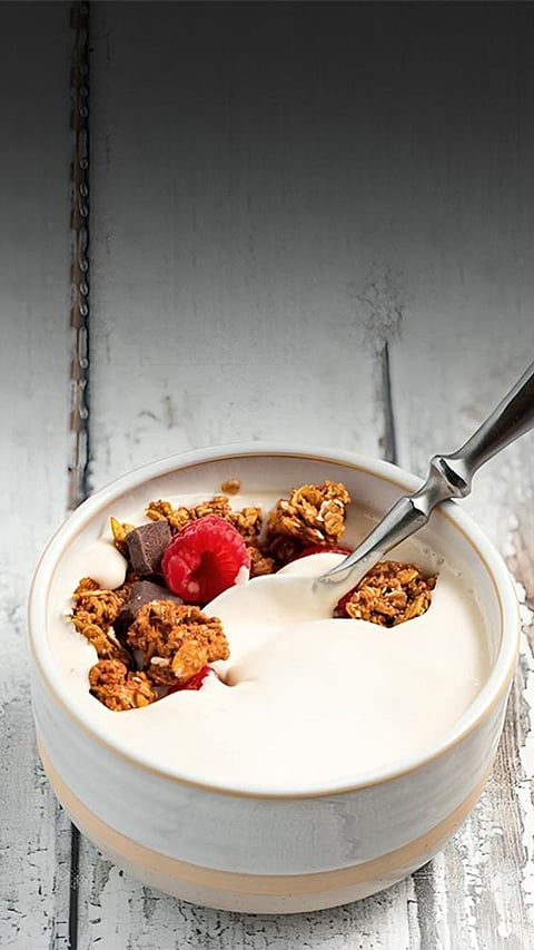 8 Non-Dairy Yogurt recipes Alternatives to Savor Throughout the Day