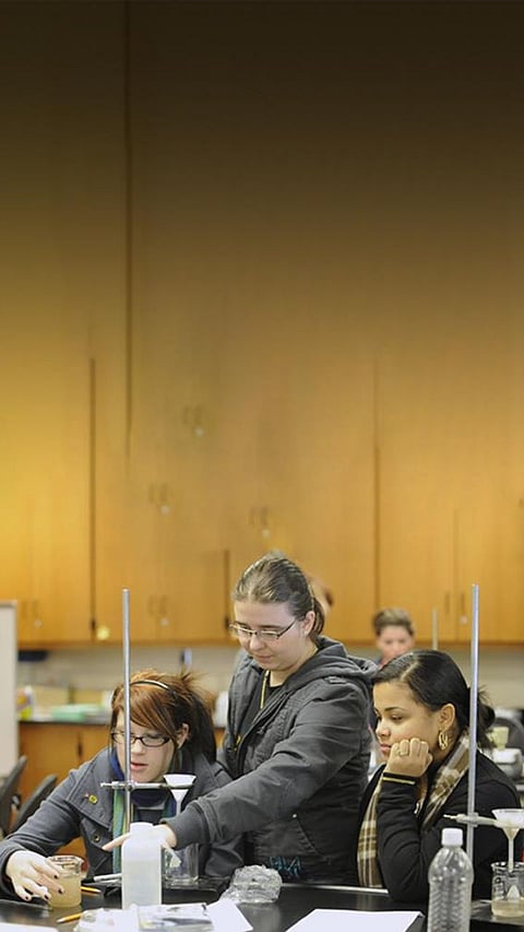 Top 5 Impact on Brain Development: How Teachers Influence Science of Teaching