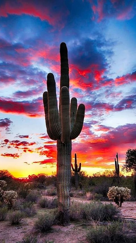 5 Places that you should not travel to right now, according to US Govt,