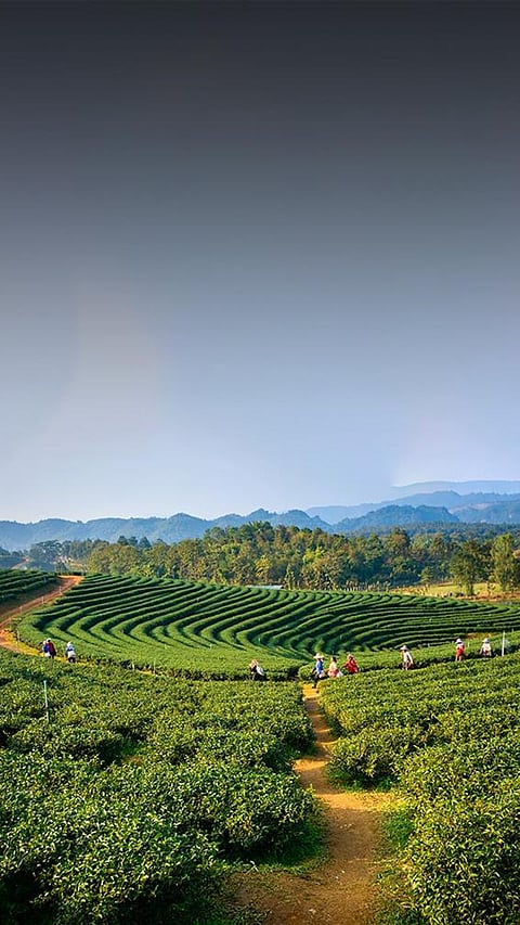 8 most unsafe places near Assam one must not visit