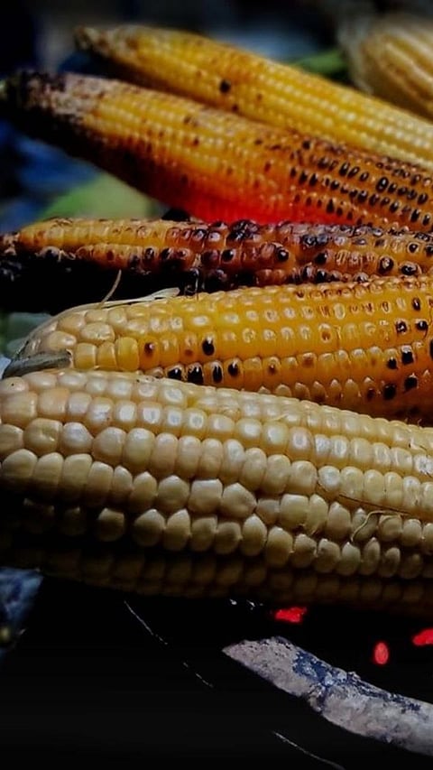 Top 8 Quick and Easy Corn fusion Recipes Ready in 5 - Minutes