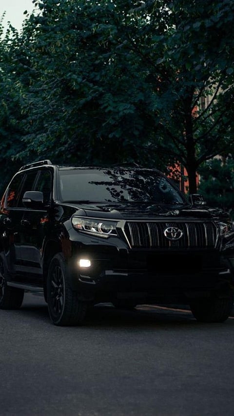 Efficiency Excellence: The Top 5 Fuel-Efficient Cars of the Year