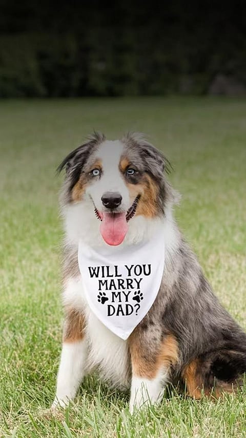 From the Heart: 7 Memorable Ideas for a One-of-a-Kind Marriage Proposal