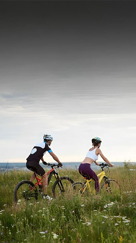 5 Highly Recommended Bicycles for Purchase