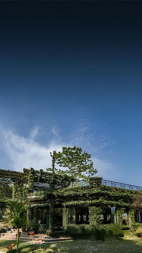 Top 9 Enchanting Forest Retreats: Affordable Nature Getaways in India