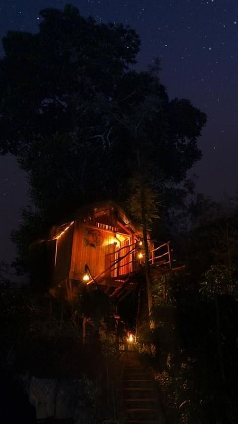 Love in the Trees: Top 10 Romantic Treehouse Escapes