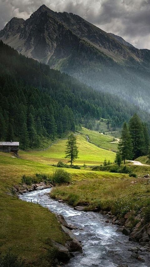 Discovering Mental Wellness: The 5 Best Retreats for Inner Peace