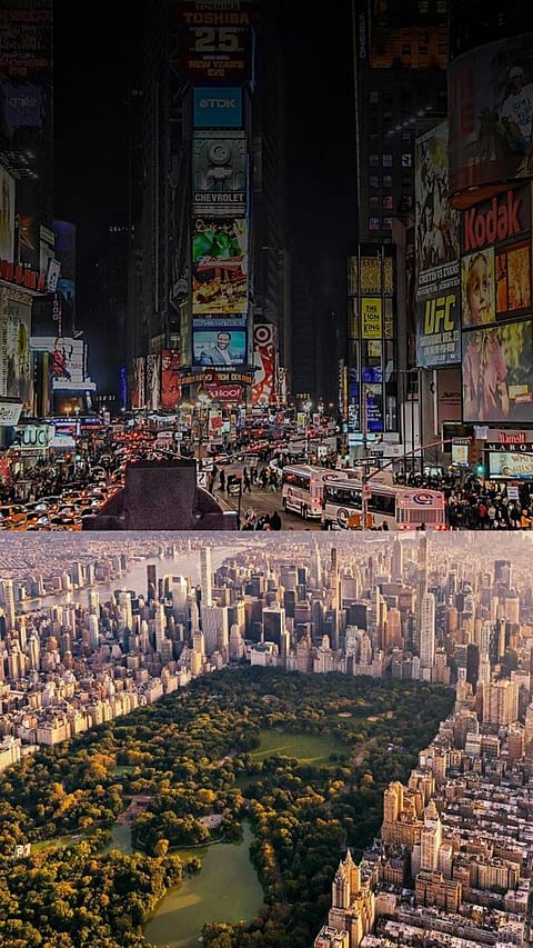 From Times Square to Central Park: Exploring New York's Top 6 Attractions