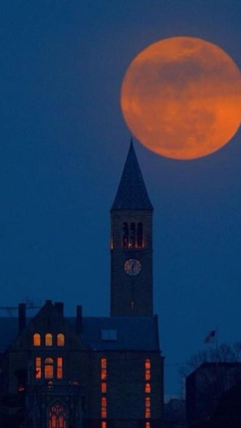 Top 9 Global Universities Preferred by Tech Giants: Google, Facebook, and Microsoft