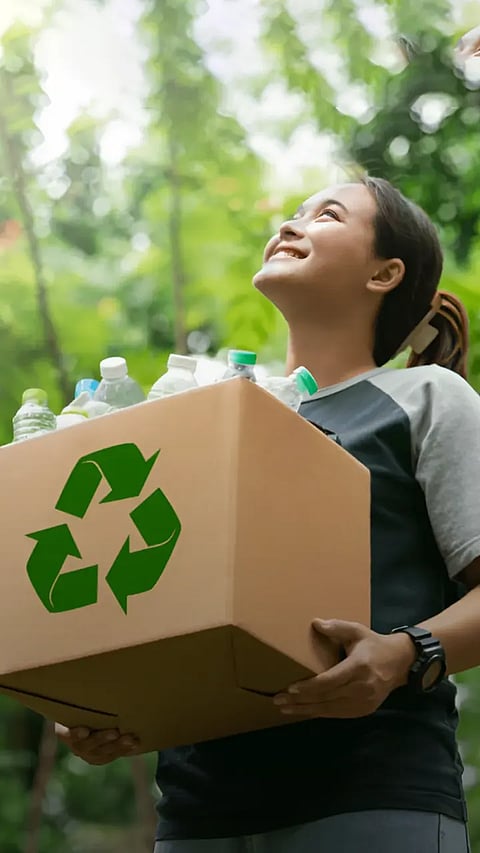 7 Essential Tips for Sustainable Living