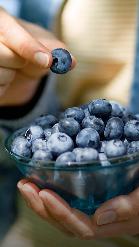 Benefits of eating Blueberry daily