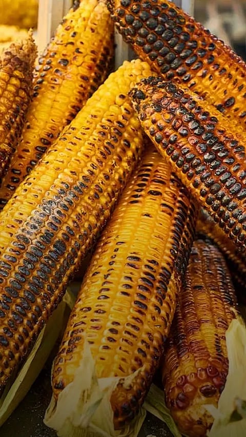 7 Must-Try Indian Dishes During Monsoon