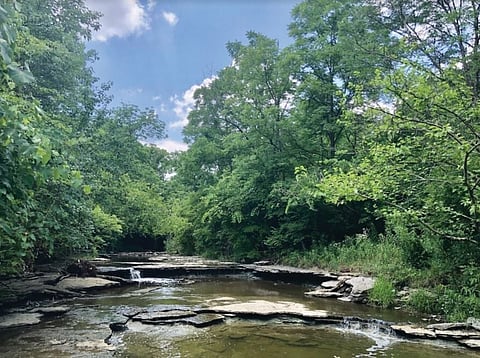 A Paradise for Autistic Young Adults