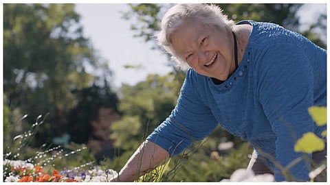 Seniors With Stories