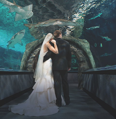 The Perfect Venue for Taking the Plunge