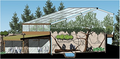 Gorilla World Expansion on Track to Open at the Cincinnati Zoo in 2017