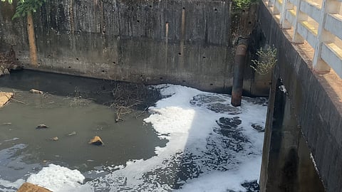 Corporation sewage flowing into the Phalguni River!
Foul stench, mosquito menace, and fear of infectious diseases.