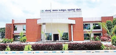 ಮನ್ಮುಲ್ ಹೊರನೋಟ