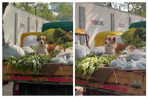ಎಕ್ಸ್ನಿಂದ ಸಂಗ್ರಹಿಸಿದ ಚಿತ್ರ