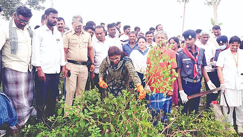 ಚಾಮರಾಜನಗರ ತಾಲೂಕಿನ ಹೆಬ್ಬಸೂರು ಗ್ರಾಮ ಪಂಚಾಯತಿಯ ದಡದಹಳ್ಳಿ ಗ್ರಾಮದಲ್ಲಿ ಮಹಾತ್ಮ ಗಾಂಧಿ ಜಯಂತಿ ಅಂಗವಾಗಿ ಜಿಲ್ಲಾ ಪಂಚಾಯಿತಿ ಸಿಇಒ ಮೋನಾರೋತ್ ಸ್ವಚ್ಛತಾ ಕಾರ್ಯದಲ್ಲಿ ಪಾಲ್ಗೊಂಡರು. ಶ್ರುತಿ, ಗಿರಿಧರ್, ಶ್ರೀಕಂಠರಾಜೇ ಅರಸ್, ಜಯಪ್ರಕಾಶ್, ಪ್ರಕಾಶ್, ಲೋಹಿತ್ ಇತರರು ಇದ್ದರು.