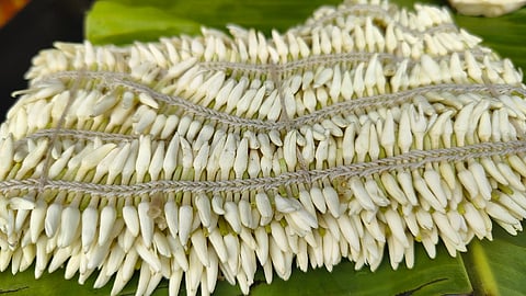 ಉಡುಪಿ ಶಂಕರಪುರ ಮಲ್ಲಿಗೆ.