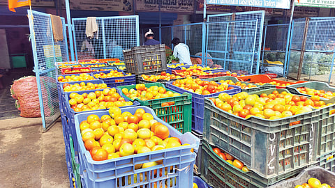 tomato price hike