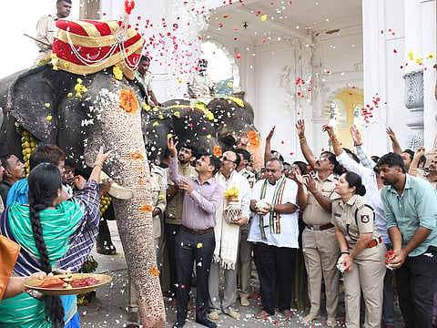 Former Dasara Jumbo Savari Captain Abhimanyu the elephant was given a traditional welcome on Monday. MLA T.S. Srivatsa, DCF Dr. I.B. Prabhugowda and others were present.