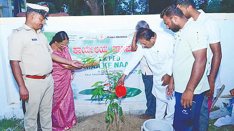 ನಾಗಮಂಗಲ ಪಟ್ಟಣದ ಸಹಾಯಕ ಕೃಷಿ ನಿರ್ದೇಶಕರ ಕಚೇರಿ ಆವರಣದಲ್ಲಿ ಸಸಿ ನೆಟ್ಟು ನೀರೆರೆಯುವ ಮೂಲಕ ತಾಯಿ ಹೆಸರಿನಲ್ಲಿ ಒಂದು ಗಿಡ ರಾಷ್ಟ್ರೀಯ ವೃಕ್ಷಾರೋಹಣ ಅಭಿಯಾನಕ್ಕೆ ಸಚಿವ ಎನ್.ಚಲುವರಾಯಸ್ವಾಮಿ ಚಾಲನೆ ನೀಡಿದರು.
