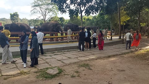 ಪ್ರವಾಸಿಗರ ಕ್ಷೇಮಕ್ಕೆ ಆದ್ಯತೆ