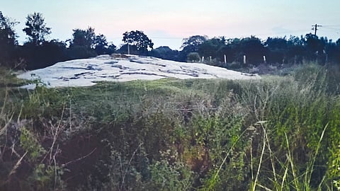 Encroachment of the temple grove in Kadaripura