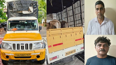 ಹುಲ್ಲು ಮೇಯುತ್ತಿದ್ದ 4 ದನಗಳನ್ನು ಕದ್ದು ಪಿಕ್ಅಪ್ ಗೂಡ್ಸ್ ವಾಹನದಲ್ಲಿ ಸಾಗಿಸುತ್ತಿದ್ದ ಇಬ್ಬರನ್ನು ಬಂಧಿಸಿರುವ ಹಿರಿಯಡ್ಕ ಠಾಣೆ ಪೊಲೀಸರು.