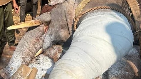 Fiberglass casting