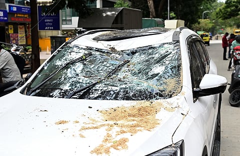 ಜೆಸಿಬಿ ಚಾಲಕನ ಎಡವಟ್ಟಿಗೆ ಬಿತ್ತು ಬೃಹತ್ ಮರ