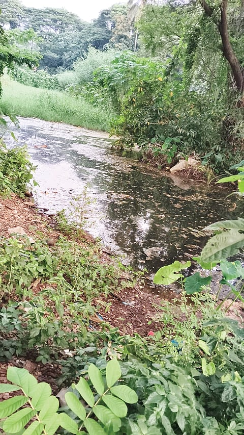 ಕೊಳಚೆ ನೀರು ಸಂಗ್ರಹವಾದ ಕೆರೆ.
