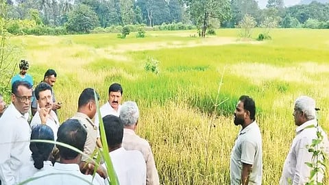 Crop loss