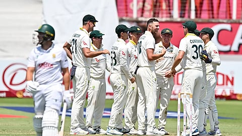 cricket