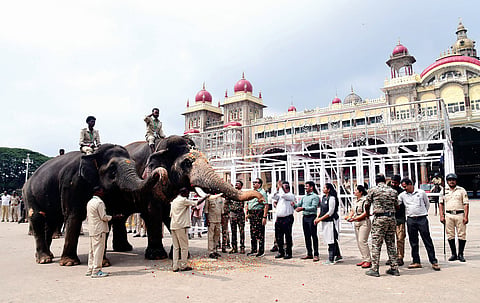 ನೋಡಬನ್ನಿ ನವೋಲ್ಲಾಸದ ಜಂಬೂ ಸವಾರಿ!