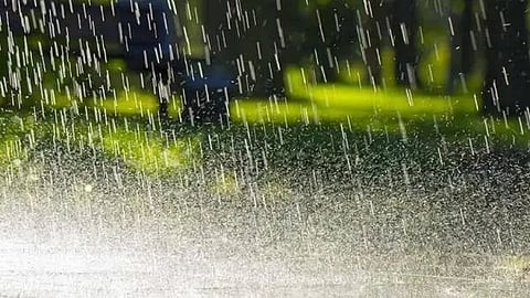 ಹವಾಮಾನ ಇಲಾಖೆ ಮಾಹಿತಿ