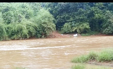 ಉದ್ದೇಶಿತ ಸೇತುವೆ ನಿರ್ಮಾಣಗೊಳ್ಳಲಿರುವ ಬಾಕಿಲ ಪದವು ಹೊಳೆ