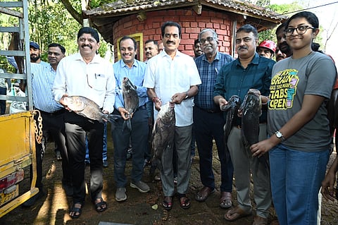 ಶಾಸಕ ಉಮಾನಾಥ ಕೋಟ್ಯಾನ್ ಮತ್ಸ್ಯೋತ್ಸವಕ್ಕೆ ಚಾಲನೆ ನೀಡಿದರು.