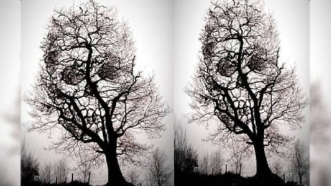 Optical Illusion