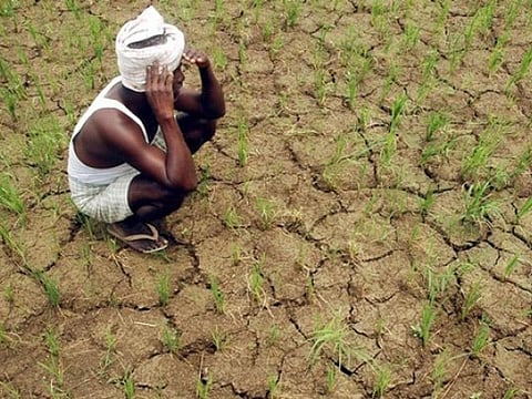 Drought