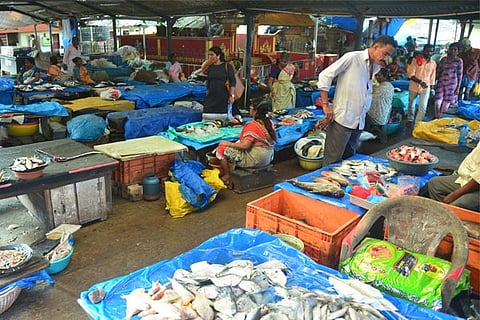 fish